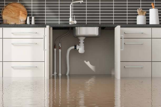 Best Water damage restoration near me  in Gosnell, AR