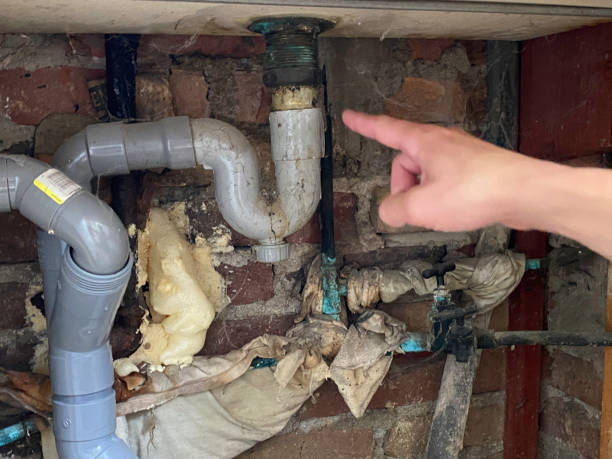  Gosnell, AR Water damage restoration Pros