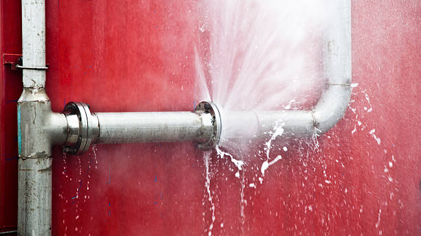 Best Water damage restoration experts  in Gosnell, AR